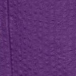 purple orchid