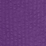 purple orchid