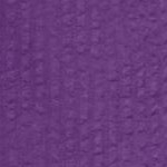 purple orchid