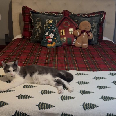 Guest review image 1 of 1, zoom in