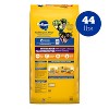 Pedigree Roasted Chicken Flavor with Bacon Bites Adult Dry Dog Food - 2 of 4