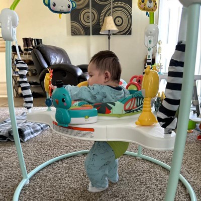 Target baby hot sale jumperoo