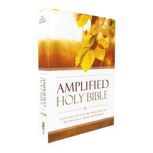 Amplified Outreach Bible, Paperback - by  Zondervan - 1 of 1