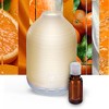 Glade Aromatherapy Diffuser Refill Air Freshener - Choose Calm - 0.56 Fl Oz  : Target