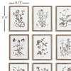Plum & Post Rustic Foliage Study Set of 9 - 2 of 4