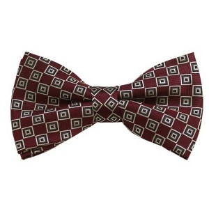 Men's Geometric Color 2.75 W And 4.75 L Inch Pre-Tied adjustable Bow Ties - 1 of 3