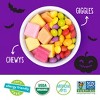 YumEarth Halloween Giggles & Chewys Candies - 15oz/30ct - 4 of 4