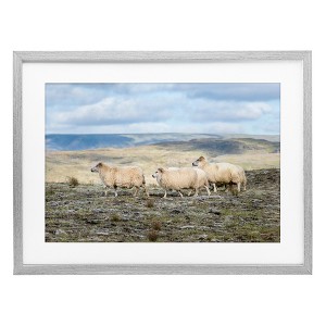 Stupell Industries Three Friends Sheep in Nature Framed Print Under Glass - 1 of 4