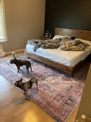 Guest review image 2 of 2, zoom in