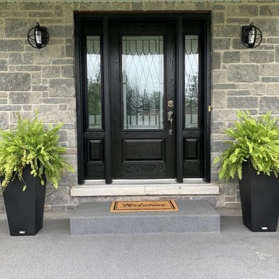Matte Black Metal Globe Outdoor Wall Sconce with Clear Glass