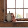 Distressed Gray Terracotta Canister with Lid by Foreside Home & Garden - 2 of 4
