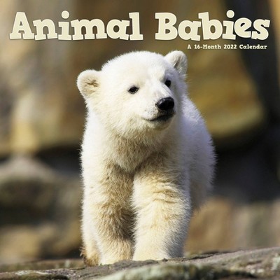 2022 Wall Calendar Animal Babies - Trends International Inc