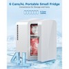 Kismile Mini Fridge, 4L Capacity for 6 Cans(350ml), Fruits, Refrigerating Makeup and Skincare, Available for Car Power Supply Work - 4 of 4