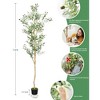 LOVMOR Artificial Olive Tree 7.9ft Artificial Plants,Extra Long Faux Olive Tree for Modern Home Office Living Room Floor Decor Indoor - 3 of 4