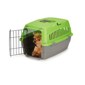 Cruising Companion Carry Me Crates - Green - 1 of 2