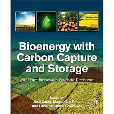 Bioenergy with Carbon Capture and Storage - by  Jose Carlos Magalhaes Pires & Ana Luisa Da Cunha Goncalves (Paperback)