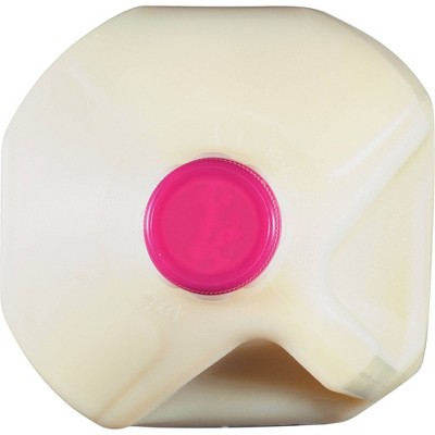 Gandy's Skim Milk - 1gal