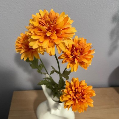 Guest review image 3 of 3, zoom in