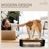 Mela Artisans Kanni Elevated Pet Feeder - Small - 4 of 4