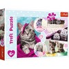 Trefl Lovely Kittens Kids Jigsaw Puzzle - 160pc - 2 of 4
