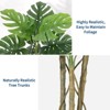 Simulated Monstera Deliciosa with Curved Plastic Pole, Large and Realistic Tropical Palm Tree, with Bendable Branch, UV Resistant, Suitable - 3 of 4