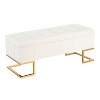 CAVINAS Velvet Storage Ottoman Bench with Gold Metal Frame,Upholstered Storage Ottoman,Storage Benches for Living Room,Bedroom - 4 of 4
