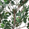 PAGED Artificial Ficus Trees with Pot, Artificial Tree with Natural Wood Trunk, Indoor Outdoor Fake Plant, Home and Office Decoration for Foyer, Porch - 2 of 4