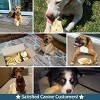 Pawstruck Natural Jumbo Cow Ears For Dogs - Healthy Single Ingredient Chew Made in USA - Low Calorie, Digestible Dental Dog Treats - 3 of 4