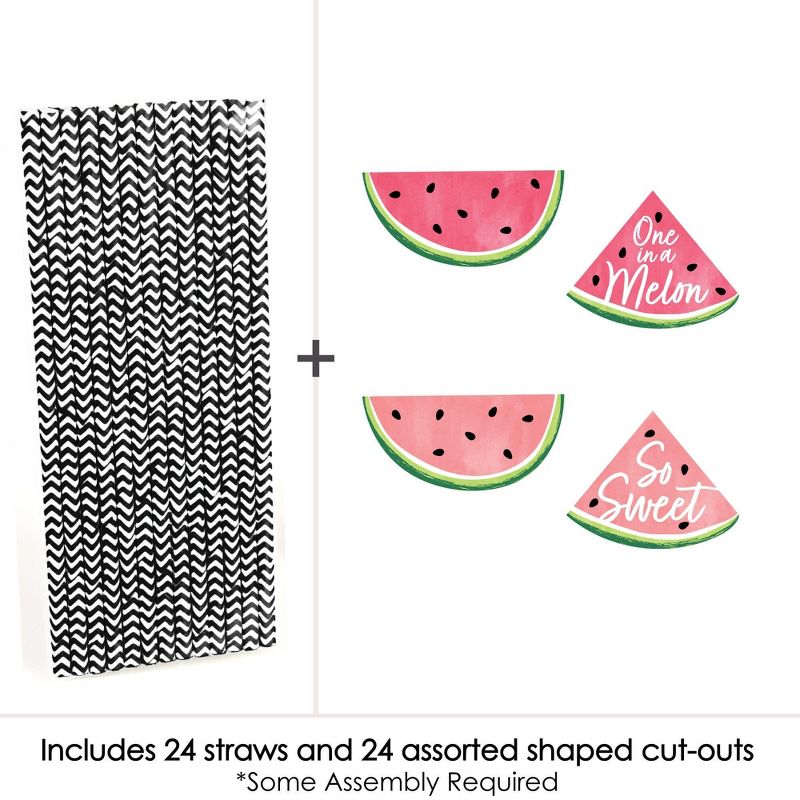 Big Dot of Happiness Sweet Watermelon - Paper Straw Decor - Fruit Party Striped Decorative Straws - Set of 24, 3 of 7