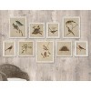 Plum & Post Framed Aviary Bird & Nest Habitat Prints, Set Of 9 - 4 of 4
