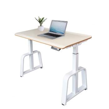 Stand Up Desk Store Programmable Electric Ergonomic 48" Wide Standing Desk