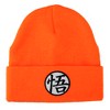 Dragon Ball Z 2-Pack Orange and Black Cuff Beanie Combo - 3 of 4