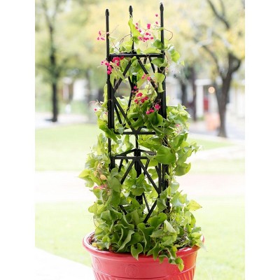 Diamond Trellis 47-1/4in - Gardener's Supply Company