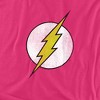 Dc Flash Flash Logo Distressed Adult T-Shirt - 2 of 4