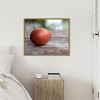 Amanti Art Egg on Wood by Tania Soderman Framed Canvas Wall Art - 4 of 4