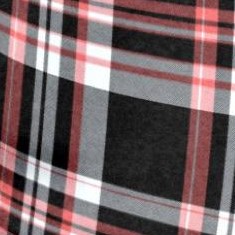 black coral plaid