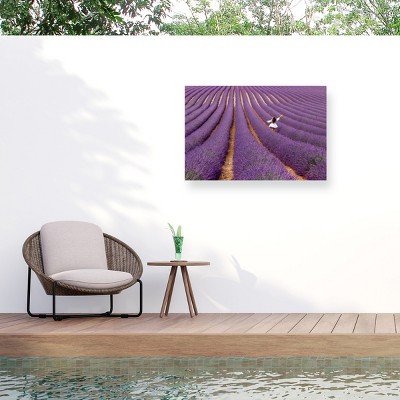 Trademark Fine Art - Massimo Della Latta Violet Matted Framed Art