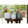 SpassWay 8" Dia Outdoor Indoor Ceramic Planter Pot Decorative Planter with Drainage Hole Patio Flower Pot - 4 of 4