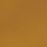 georgia bulldogs uga