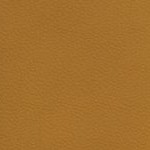 georgia bulldogs uga