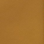 georgia bulldogs uga