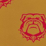 georgia bulldogs uga