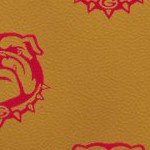 georgia bulldogs uga