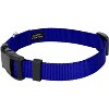Country Brook Petz Deluxe Nylon Dog Collar and Leash - 2 of 4