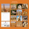 2026 Square Wall Calendar, Meerkats, 16-Month Animals Theme with 180 Reminder Stickers (12x12 In) - 4 of 4