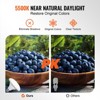 VEVOR Softbox Lighting Kit, 24" x 24", Professional Softbox with 30W 5500K Bulbs, Close to Natural Daylight, Adjustable Tripod Stand, Black - 4 of 4