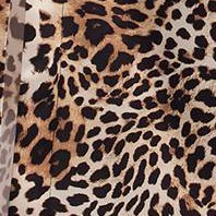 Brown Leopard Print