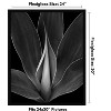 Americanflat 24x30 Picture Frame with Polished Plexiglass, Epic Collection, Gallery Wall Frames with Engineered Wood, Black - 2 of 4