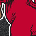 st louis cardinals 1950s