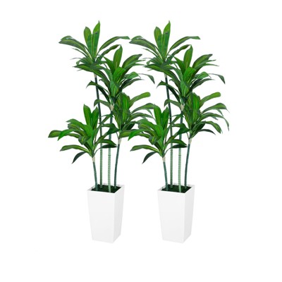 5FT Faux Dracaena Tree, 2-Pack with White Tall Planters, Indoor Outdoor Artificial Trees